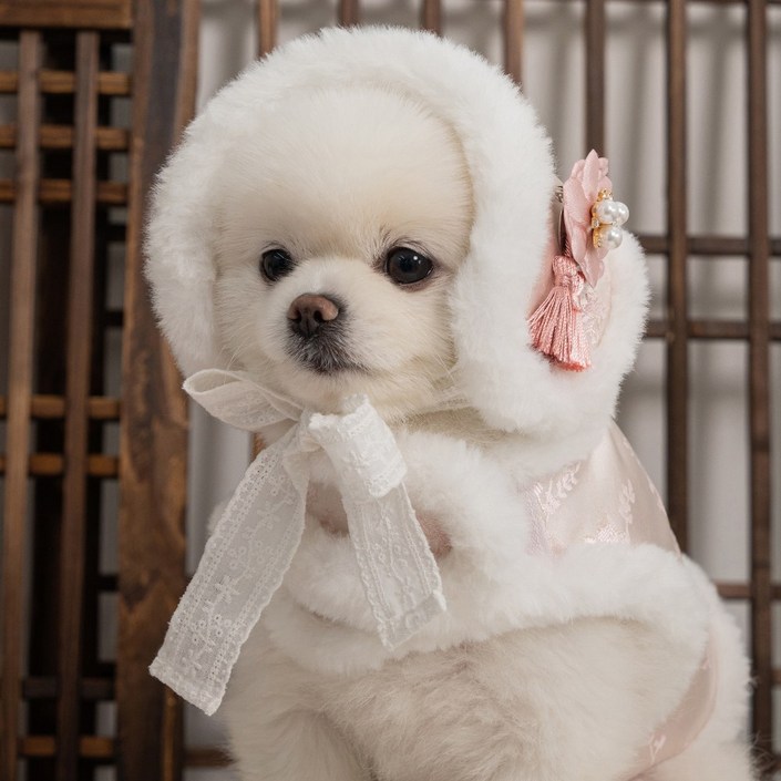 베일리펫 강아지한복 털모자 귀도리 눈꽃설화 귀마개