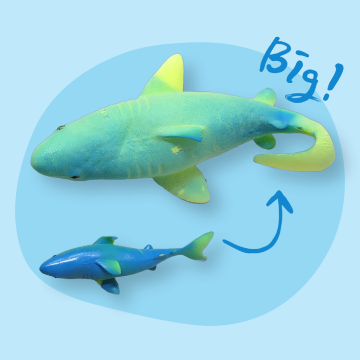 홈투홈 아쿠아퐁 촉감 놀이 장난감 물에 넣으면 커지는 공룡, 아쿠아퐁 - 상어