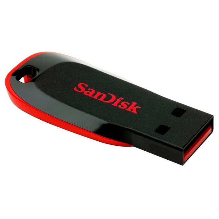 샌디스크 블레이드 USB 플래시 드라이브 SDCZ50