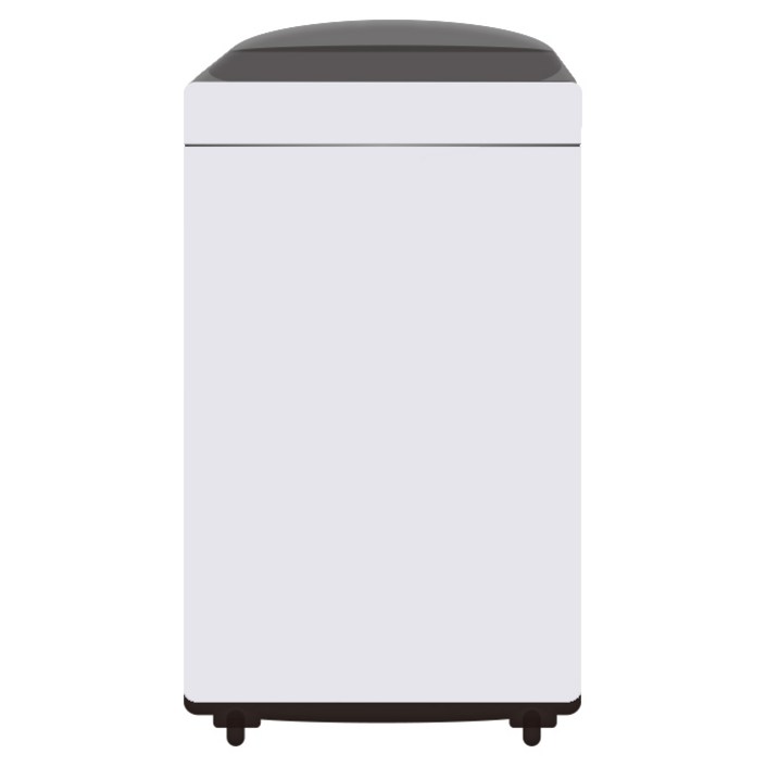 LG 10kg 통돌이세탁기 TR10WL