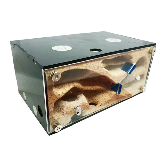 정하남 개미 키우기 아파트 개미사육장 아크릴 대형 소형 석고 개미집