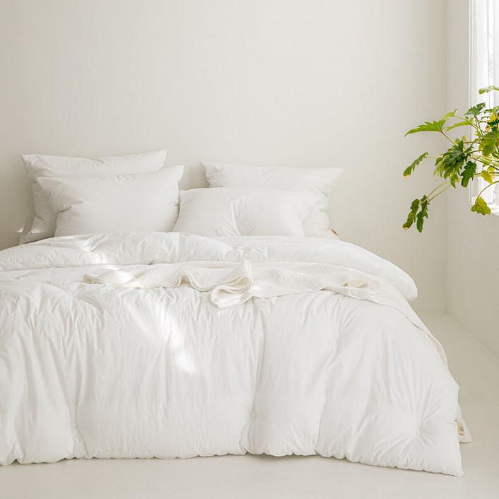 엘레나하임 건조기 가능 최상의 쾌적함 100수 순면 차렵이불