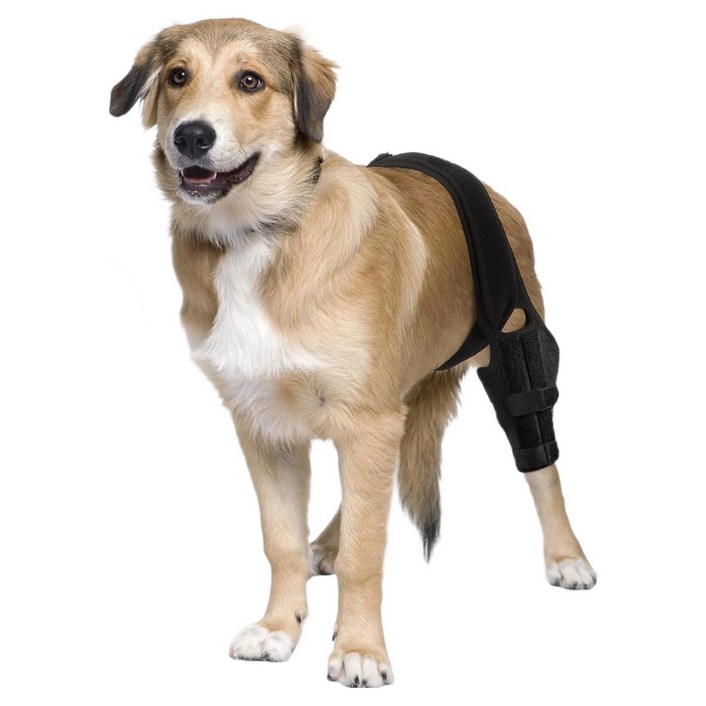 루이강아지 보호대 슬개골 관절 무릎 보호대 벨크로 조절형, 1개, 133g