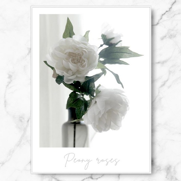RYMD White Peony Roses 메탈 액자