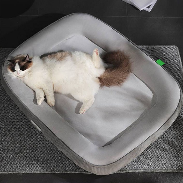 딩동펫 반려동물 딥슬립 타원형 방석 쿠션