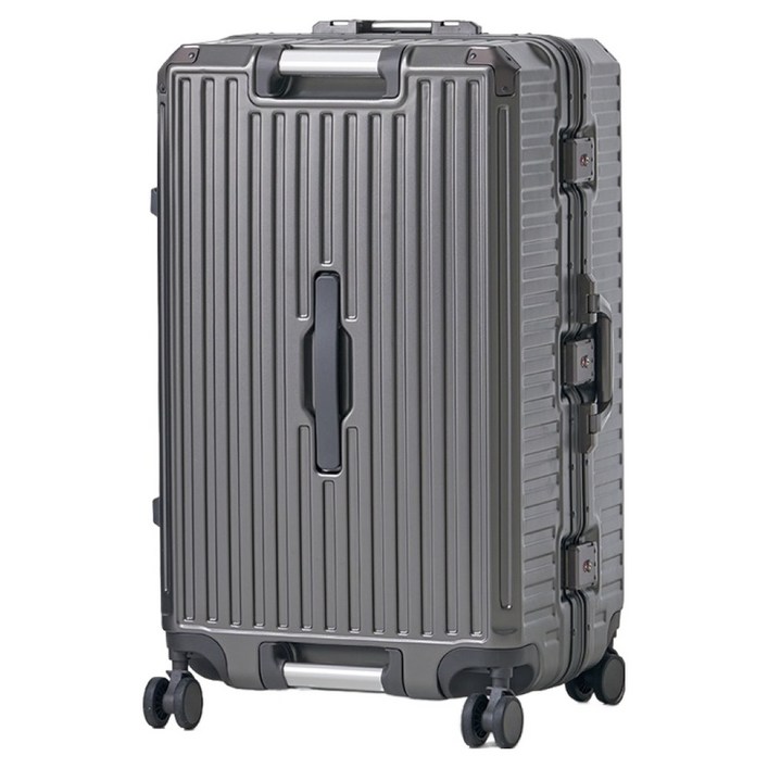 앙뜨레 덱스터 메탈프레임 PC 캐리어 25인치, 29인치