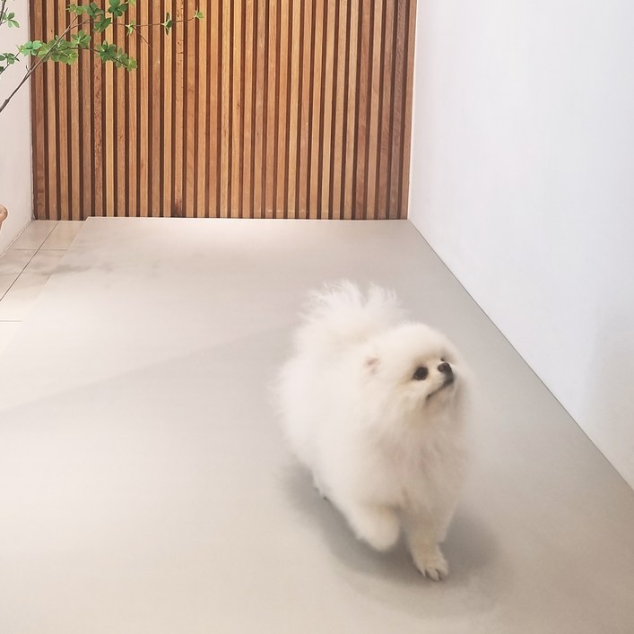 천일카페트 강아지 롤 미끄럼방지 거실 복도 매트, 아이보리, 1개