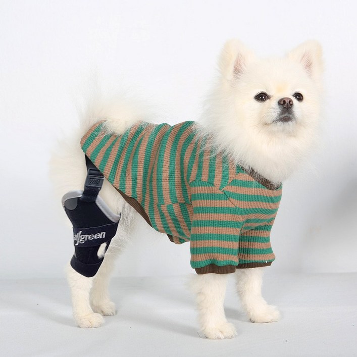 닥터바우 강아지 무릎 슬관절 탈구 보조기 보호대, 1개