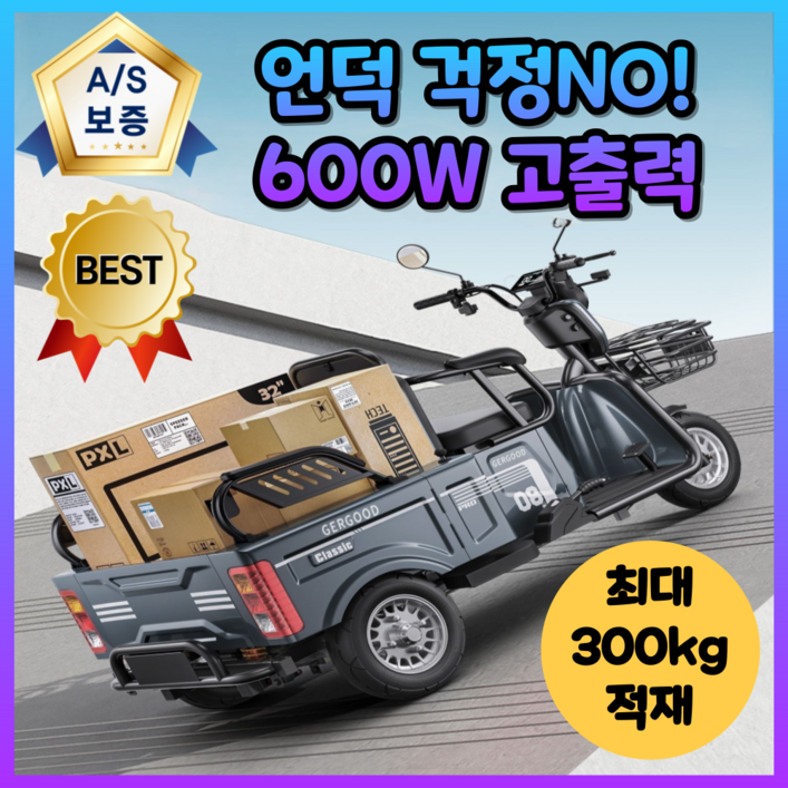 팜모션 삼륜 오토바이 전기 전동차 스쿠터 전동 바이크 화물 세발 3륜 농업용 운반차 전동카