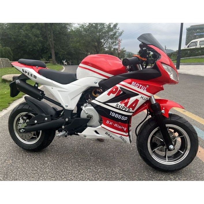 미니바이크 포켓바이크 성인 소형 스쿠터 레져 49cc