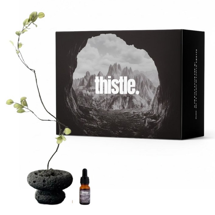 화분 스톤 디퓨저 실내 방향제 퍼퓸 아로마 집들이 선물 세트 인테리어 소품 홈데코 창업 개업