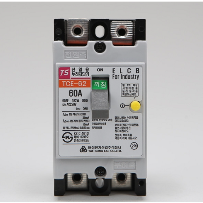 조명천지 누전차단기 TCE 62 60A 5KA 220V 태성, 1개 조명천지 누전차단기 TCE 62 60A 5KA 220V 태성, 1개