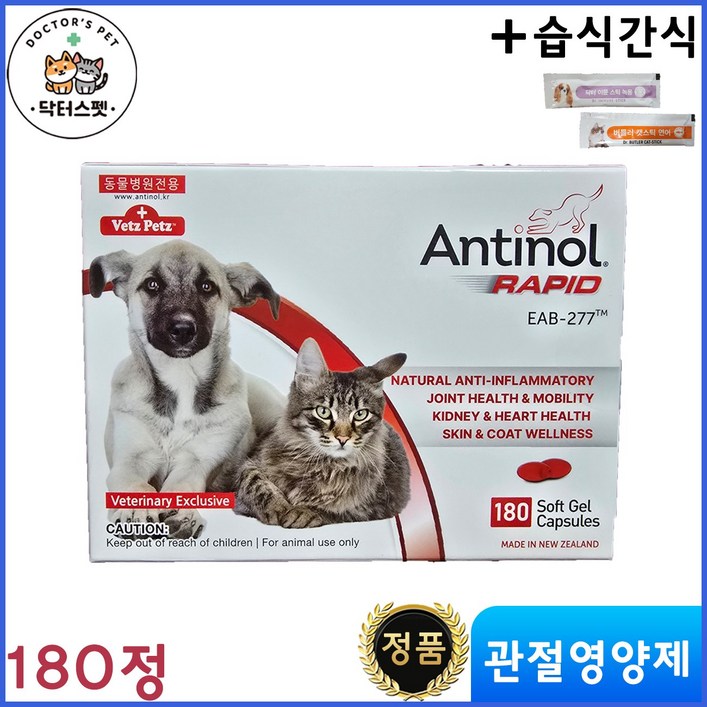 안티놀 래피드 180정  + 동물병원 전용 습식 간식 / Antinol Rapid / 관절영양제 / 천연성분 / 동물병원 전용 정품 / 강아지 고양이 겸용