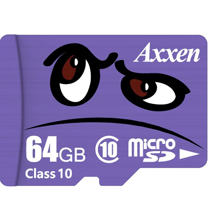 액센 프리미엄 캐릭터 마이크로 SD카드, 64GB, 1개