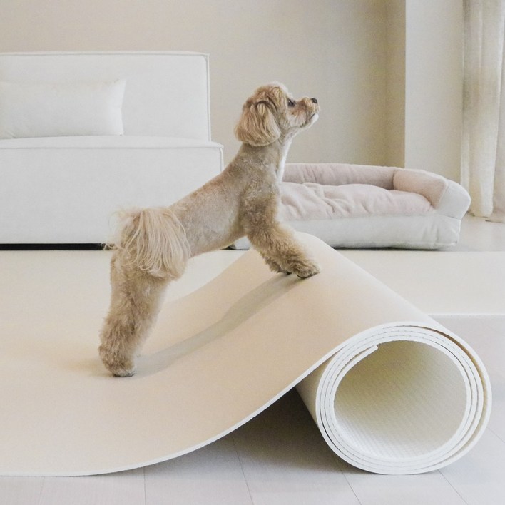 펫바이블 스테디 강아지매트 고양이 TPU 애견매트 미끄럼방지 롤 반려견 110x100cm, 1개