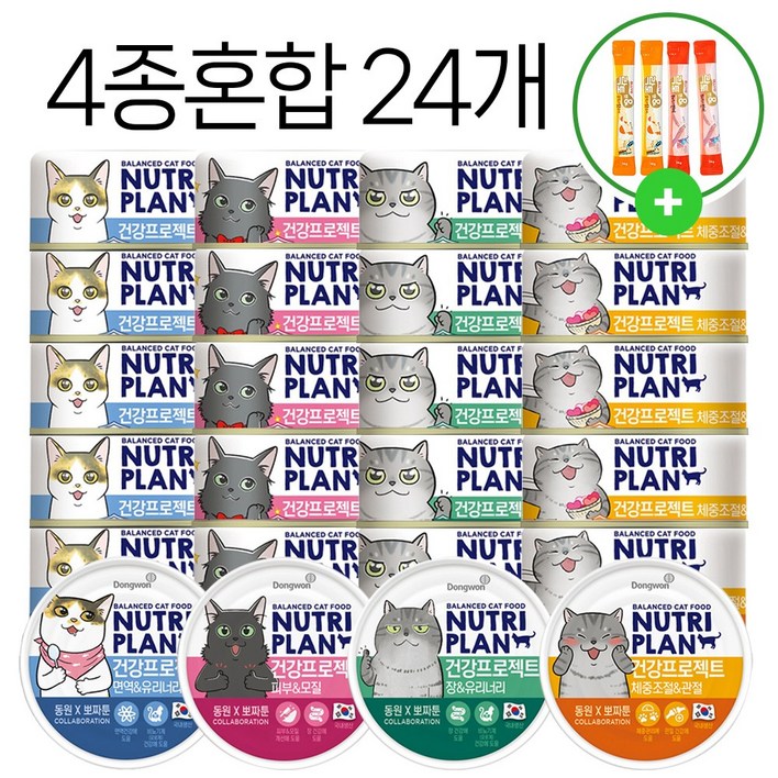 동원 뉴트리플랜 건강프로젝트 고양이 간식 캔 증정 락토 유산균 츄르 4p, 24개, 160g, 혼합4종6개씩