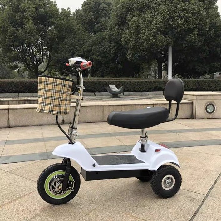 삼륜 전동 출퇴근용 어르신 가벼운 동승 사륜