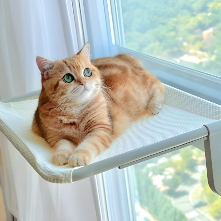 오르펫 고양이해먹 창문해먹 창틀 침대 캣타워 캣워크, 1개, 캣해먹 그레이