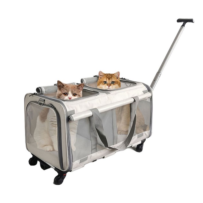 반려동물 이동식 캐리어 2단공간 확장가능 우아지오, 1개, 베이지