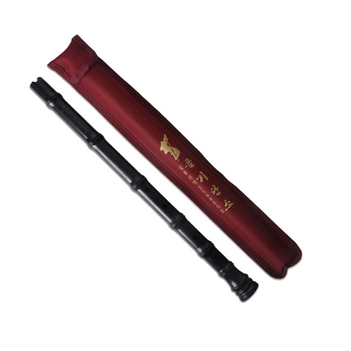 돌기 플라스틱 단소