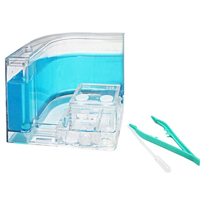 아쿠아비 앤트 개미 키우기 투명 사육장