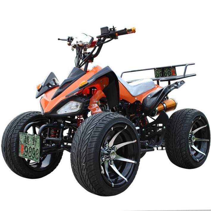 역삼륜오토바이 산악용 ATV 농업용 바이크 대형 맞춤형 110-250cc 오토바이