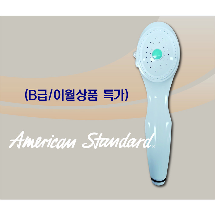 아메리칸스탠다드 스마트 핸드 스프레이 샤워헤드 FJ3821
