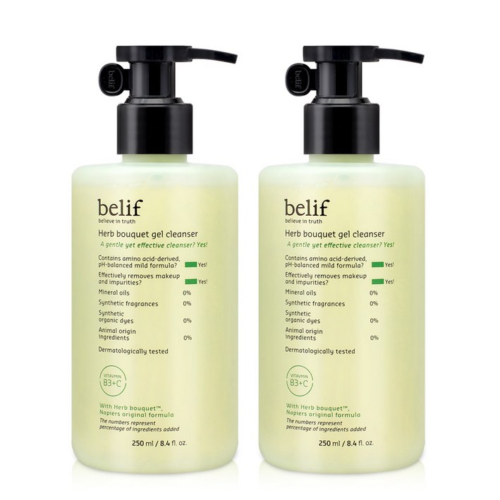 빌리프 허브 부케 클렌징젤 약산성 폼클렌징 250ml 2개, 2개, 250ml