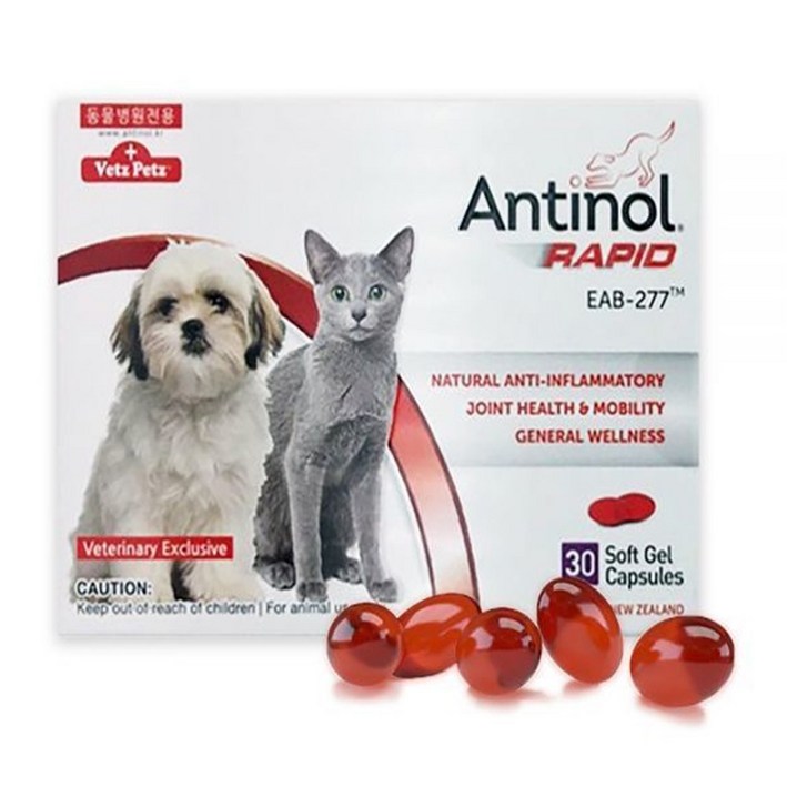 안티놀 래피드 30정 강아지 고양이 관절 조인트 영양제