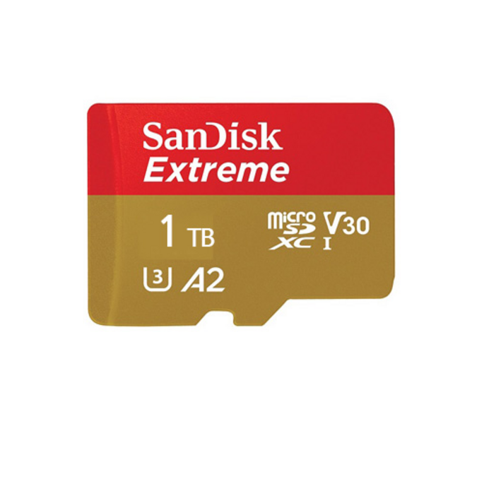 샌디스크 익스트림 마이크로 SD 카드 / 메모리 케이스, 1TB, 1개