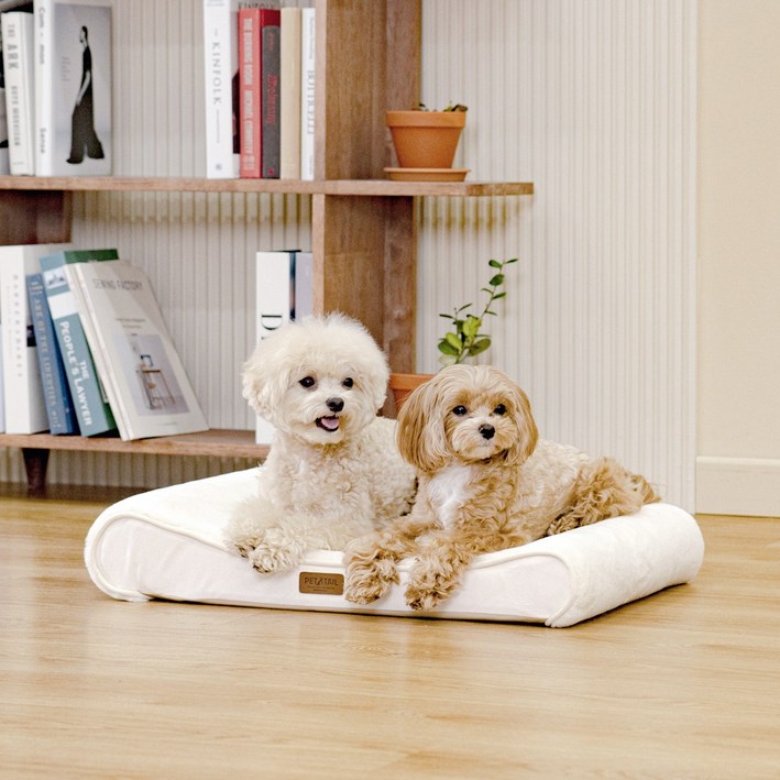 펫테일 강아지 방석 척추 고양이 침대 리저브