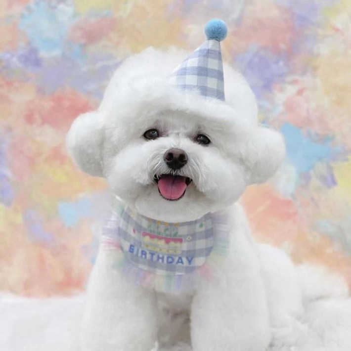 로위드 반려동물 생일파티 꼬깔모자 턱받이 세트