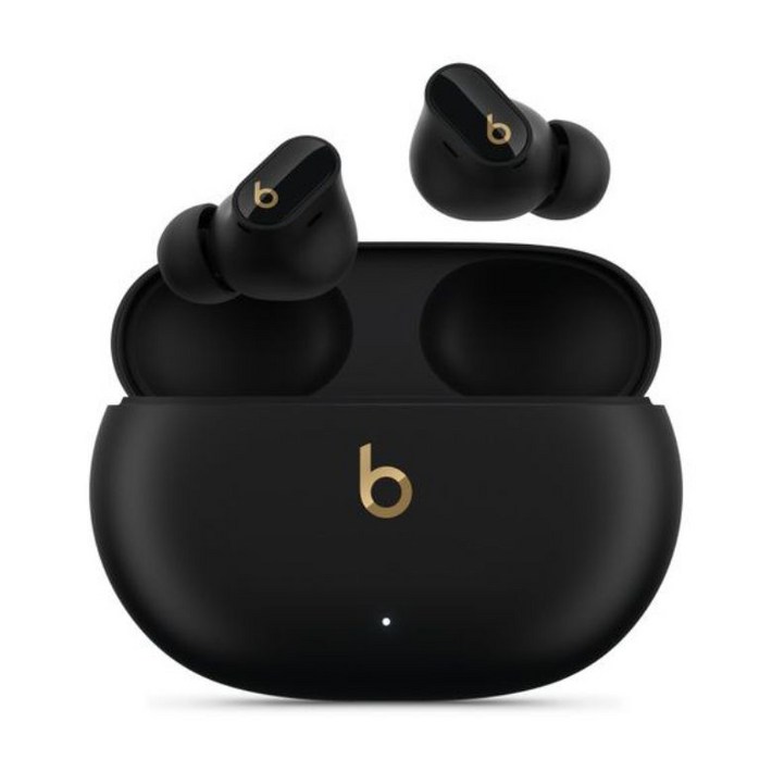 Apple 정품 Beats 스튜디오 버즈 