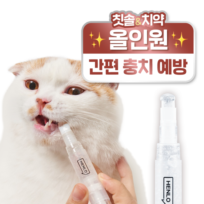 헨로포우 양치펜 헨로포우 양치펜