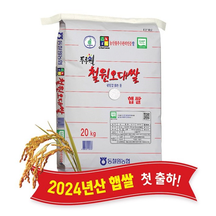당일도정 동철원농협 직접운영 2024년산 두루웰 철원오대 햅쌀