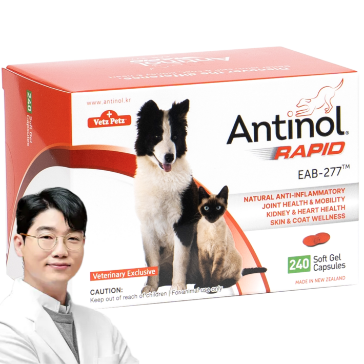 안티놀 래피드 240정