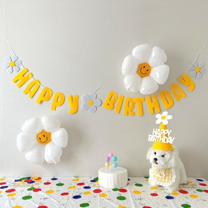 하피블리 강아지 생일파티 세트