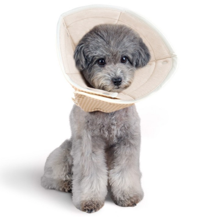 자연생각 개놀자 오가닉 펜타곤 넥카라, 브라운st, 1개