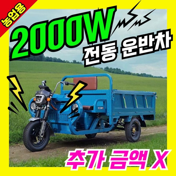 MoveTec 2500W 농업용 운반차 전동 트렉터 덤프 트럭 화물 전기 대차 수레 사발 삼륜, 1개 MoveTec 2500W 농업용 운반차 전동 트렉터 덤프 트럭 화물 전기 대차 수레 사발 삼륜, 1개