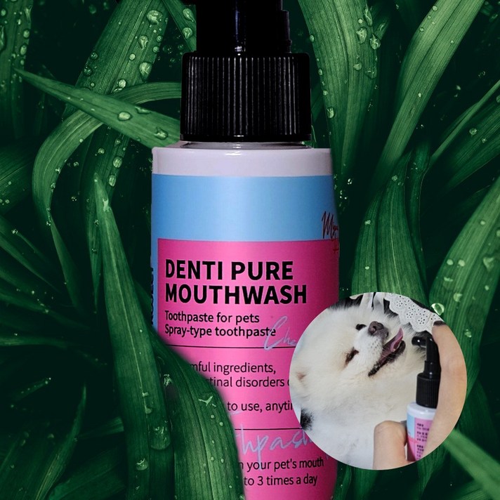 미뇽 덴티퓨어 강아지 치석 입냄새 구강관리 반려동물 뿌리는 치약, 4개, 100ml
