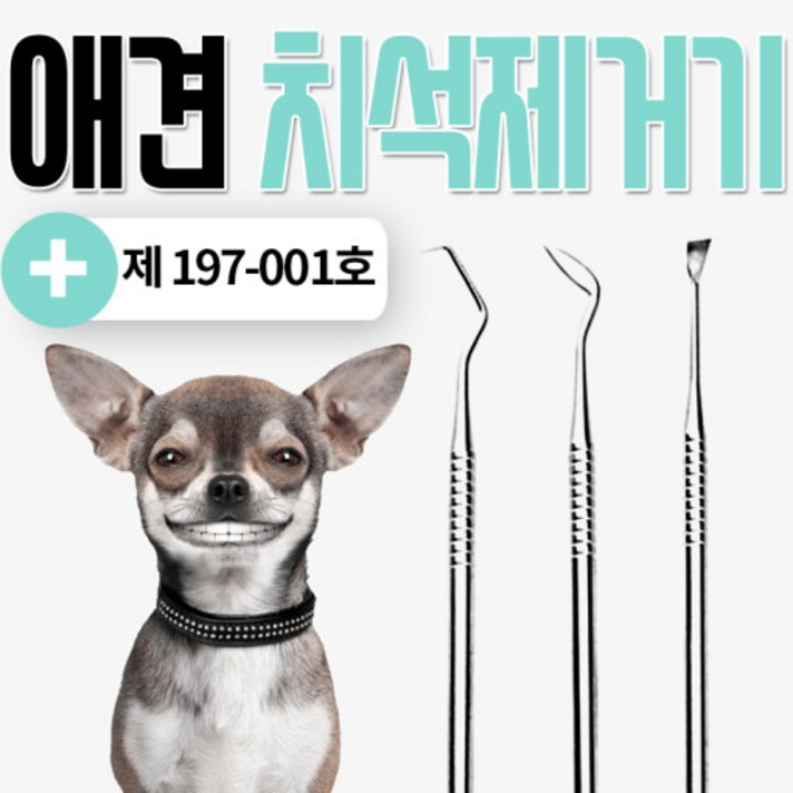 애견셀프 치석제거기스케일링 애견셀프 치석제거기스케일링