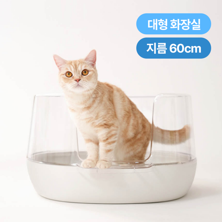 고양이원목화장실 냥쌤 고양이 투명화장실