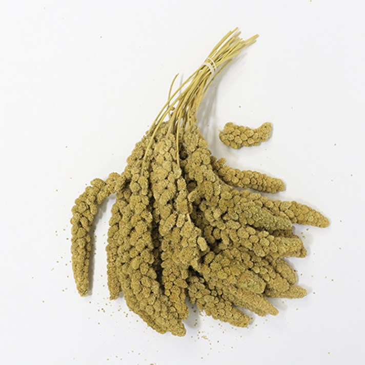 스프레이 밀렛 500g 앵무새 간식, 1봉, 500g 스프레이 밀렛 500g 앵무새 간식, 1봉, 500g