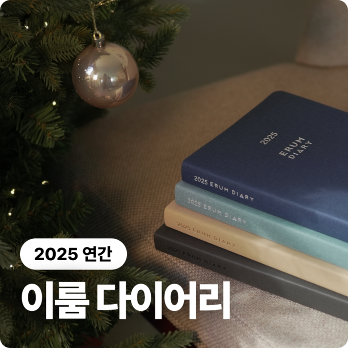 2025 이룸 다이어리 연간 다이어리 거인의노트 김익한 김교수세가지 플래너 스케줄러 일기 업무용 다이어리 기록, 민트 MINT, 1개