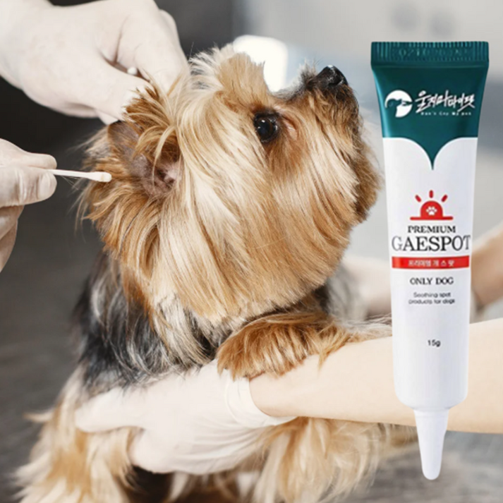 강아지 귀 연고 귓병 귀 외이염 피부 염증 연고