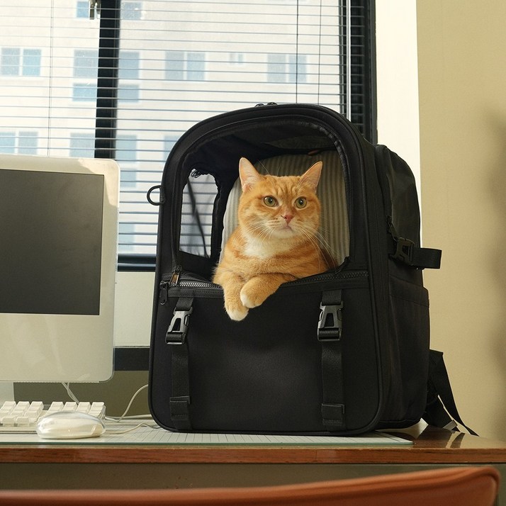 인더코코 강아지 고양이 코코백 백팩, 1개, 블랙