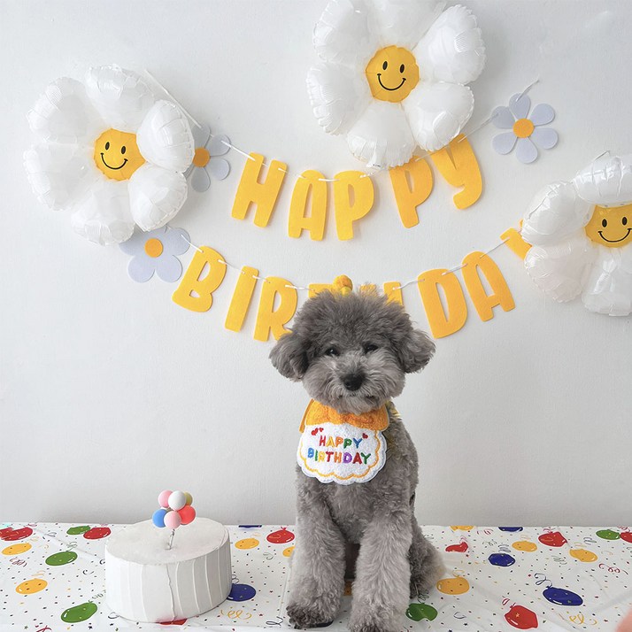 하피블리 강아지 생일파티 세트, 생일 가랜드 옐로우