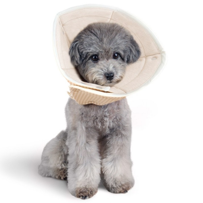 자연생각 개놀자 오가닉 펜타곤 넥카라, 브라운st, 1개