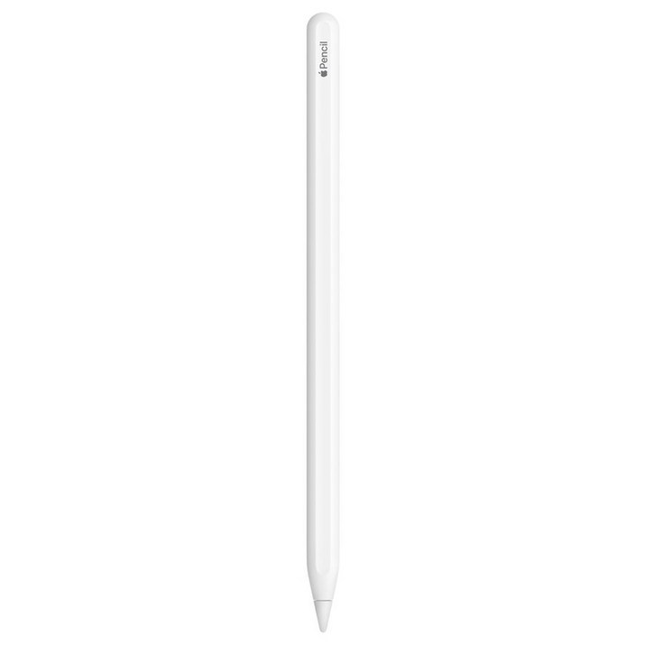 Apple 정품 애플펜슬 2세대, 1개 - 쇼핑뉴스