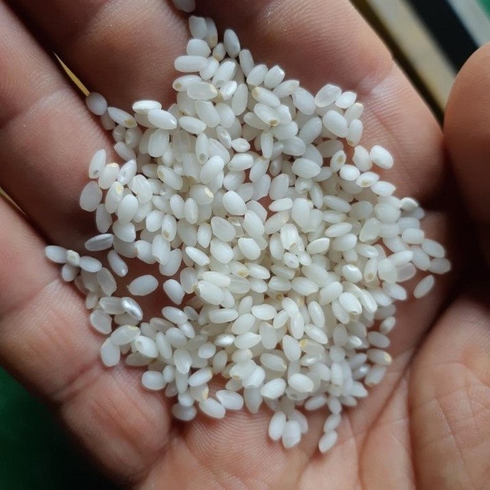 2023년산 예약 안동백진주쌀10kgx2 햇백진주쌀 10월 4일부터 순차적으로 배송